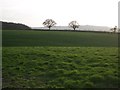 Hilfield: pasture land in evening light