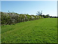 Footpath between Little Gillmans Farm and Denham