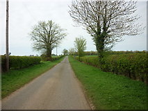 SK9785 : Saxby Cliff Road towards the A15 by Ian S