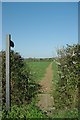 Footpath to Little Bendysh Wood