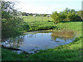 Pond by the footpath