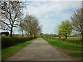 Fillingham Lane towards Willingham by Stow