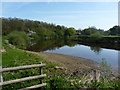 River Severn, Buildwas