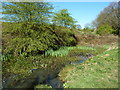 Small pond at Robinbrook Lane