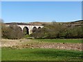 NU1109 : Railway viaduct north-east of Edlingham Castle by Andrew Curtis