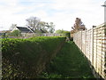 Footpath between the bungalows