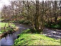 Bonny Water and Red Burn confluence