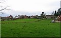 Fields and houses in Scalford