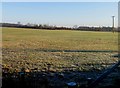 Fields by Oakham Road