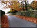 Main Street/Somerby Road junction