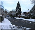 Ashwell Road towards Ashwell