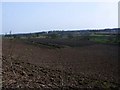 Haggs, ploughed field