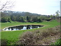 Old pond near Hergest Mill, Kington