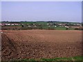 Allandale, ploughed fields