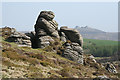 Widecombe in the Moor: on Honeybag Tor