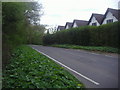 Ockley Road Ewhurst