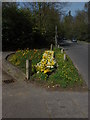 Flower bed, Fox Corner