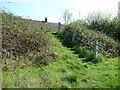 Footpath steps leading into housing estate