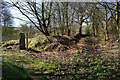 Meeting of tracks above Belgrave