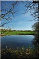 Pond Near Leigham