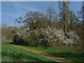 Fox Corner Wildlife Area