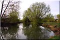 The River Cherwell at Sunnymead