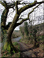 Byway joining the lane to Rhandirmwyn, Carmarthenshire