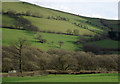 Farmland south-east of Clynmawr, Carmarthenshire