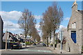 Looking down Camperdown Road, Aberdeen