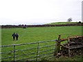 Field path crossing towards Moor Lane