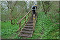 Steps near Tweed Horizons