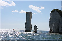 SZ0582 : Old Harry Rocks by Keith Pitchforth