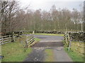 Cattle Grid and end of Drive from Harsondale