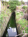 Lucerne Road: looking downstream at crossing of Norbury Brook