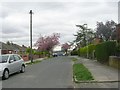 Bellmount View - looking towards Waterloo Lane