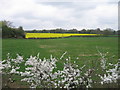 Fields north of A27