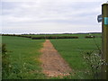 TM2963 : Footpath to Hatherleigh Farm by Geographer