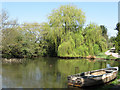 Pond, Strood Farm