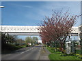 Pedestrian Bridge over Ramsgate Road