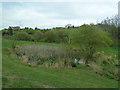 Pond near Gatwick Airport