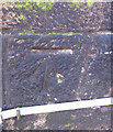 Bench mark on Trinity Church