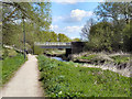 Fairway Bridge, River Sow