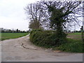 Footpath to Loam Pit Lane