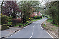 Guiseley:  Thorpe Lane