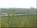 Undeveloped land, Hawkinge housing estate