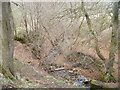 Small tributary of the Afon Lwyd, Blaenavon