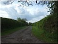 ST2342 : Track to Knaplock Farm by David Smith