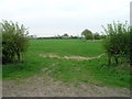 Field entrance off Short Acre Lane