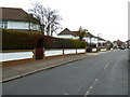 Hedge in Broomfield Avenue