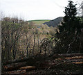 View towards Sowden